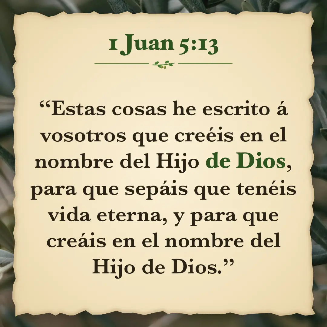 1 Juan 5:13. Estas cosas he escrito á vosotros que creéis en el nombre del Hijo de Dios, para que sepáis que tenéis vida eterna, y para que creáis en el nombre del Hijo de Dios.